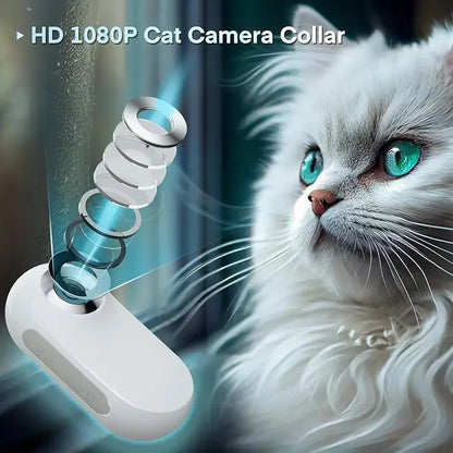 Pet collar camera with separate memory card options