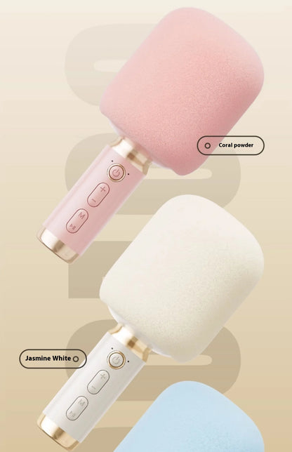 Portable Karaoke Microphone with Built-In Speaker Bluetooth 6W