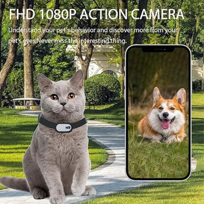 Pet collar camera with separate memory card options