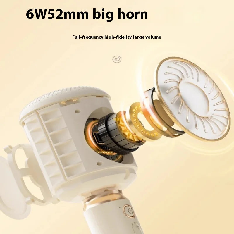 Wireless Karaoke Microphone with 6W Speaker for Home Entertainment