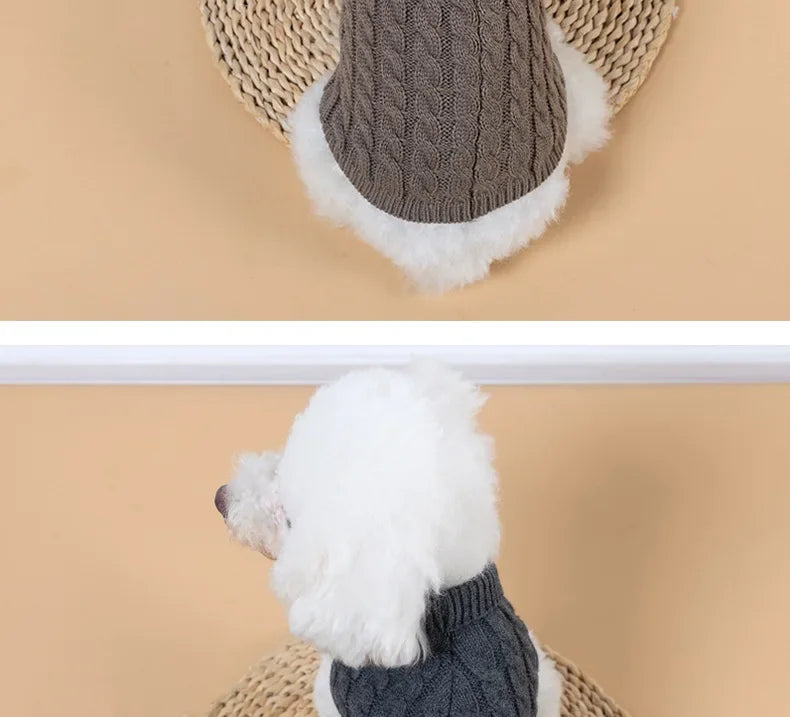 Knitted turtleneck dog sweater for everyday walks and lounging