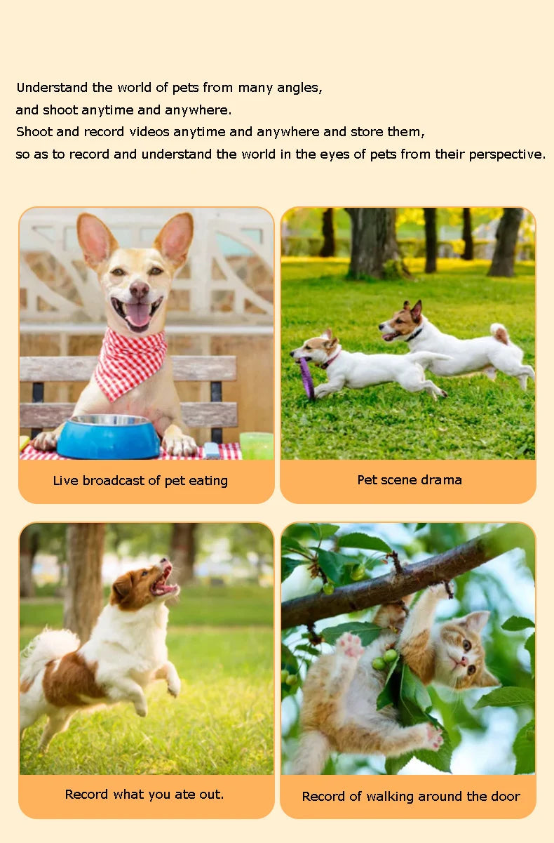 HD Cat Camera Collar with 32GB Card USB Rechargeable Adjustable