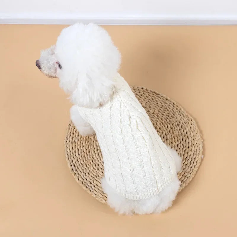 Knitted turtleneck dog sweater for everyday walks and lounging