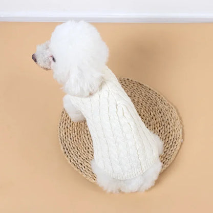 Knitted turtleneck dog sweater for everyday walks and lounging