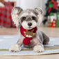 Soft Pet Scarf for Small Medium Dogs Cats Lightweight Slip On