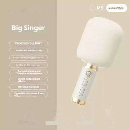 Portable Karaoke Microphone with Built-In Speaker Bluetooth 6W