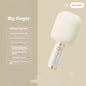 Portable Karaoke Microphone with Built-In Speaker Bluetooth 6W
