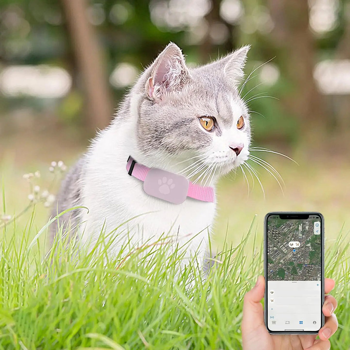 GPS Pet Collar Real Time Indoor and Outdoor Tracking for iOS