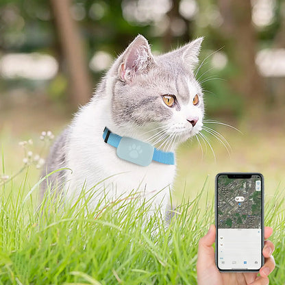 GPS Pet Collar Real Time Indoor and Outdoor Tracking for iOS