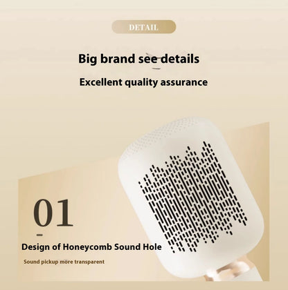 Portable Karaoke Microphone with Built-In Speaker Bluetooth 6W