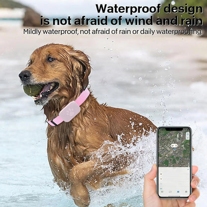 GPS Pet Collar Real Time Indoor and Outdoor Tracking for iOS