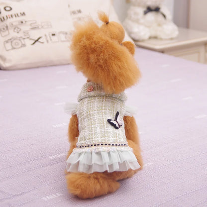 Plaid dog dress for dressed-up days