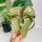 Studded Flat Bot Thong Slippers Holiday Beach Sandals Women's Jelly Slip-On oes Comfortable Casual PVC Footwear