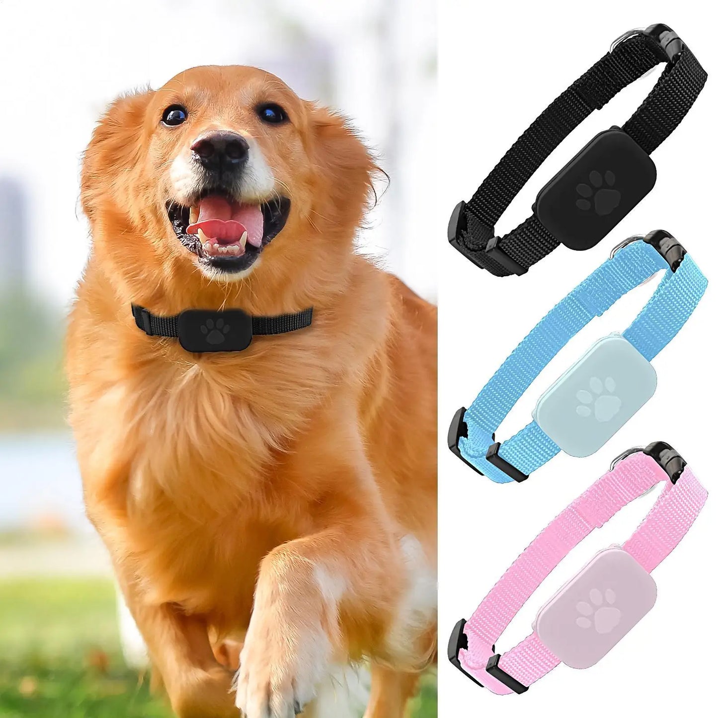 GPS Pet Collar Real Time Indoor and Outdoor Tracking for iOS