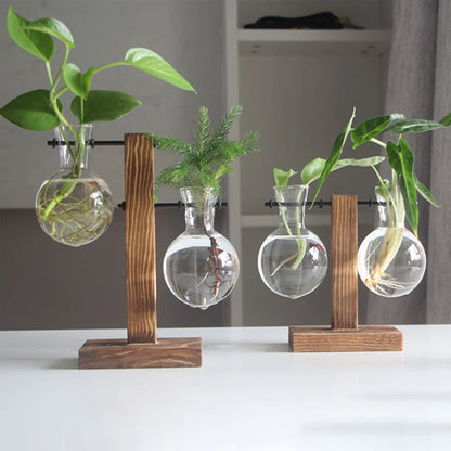 Glass Bulb Vase on Wooden Stand for Desk Decor and Office Display