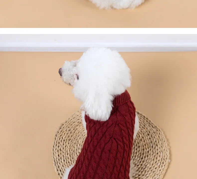 Knitted turtleneck dog sweater for everyday walks and lounging