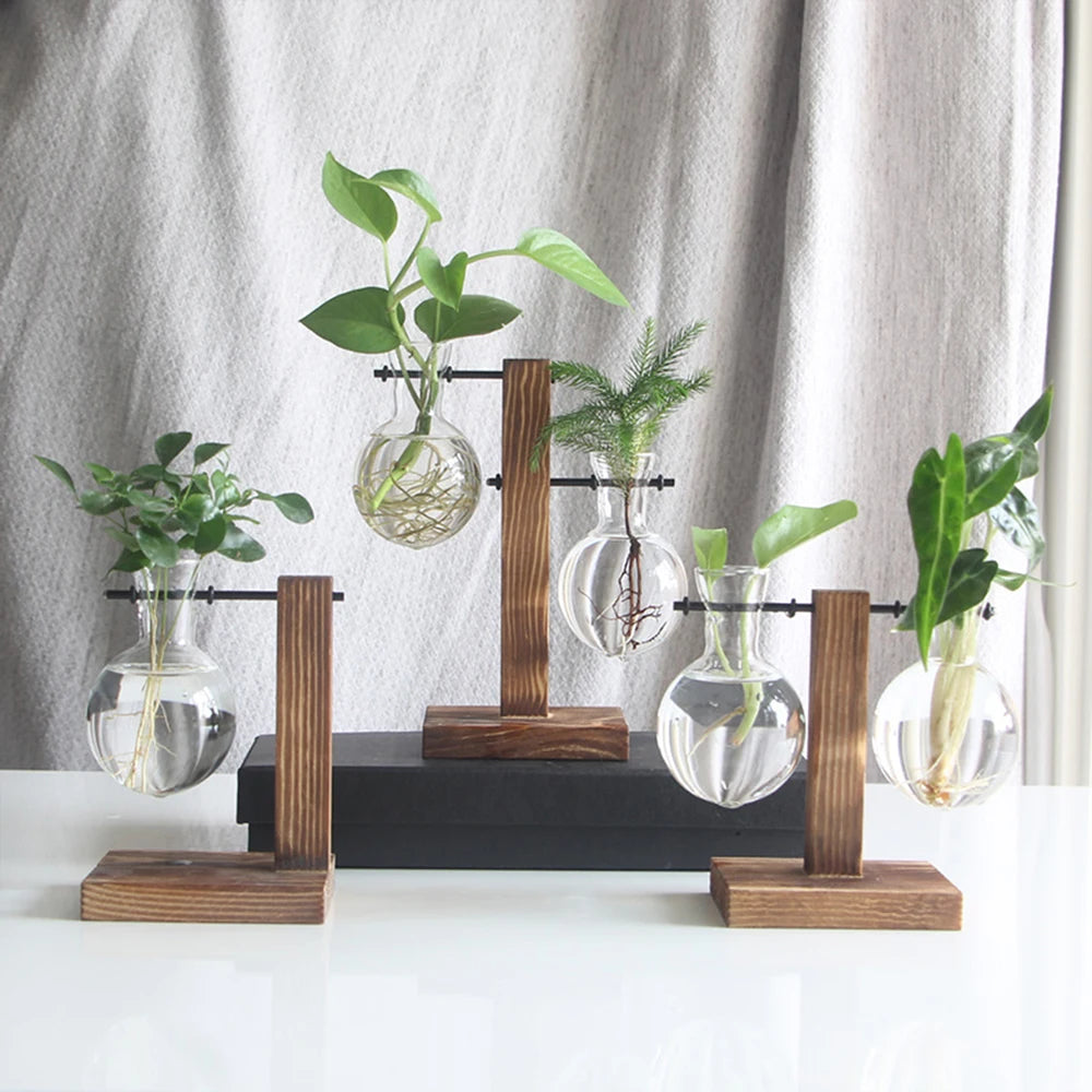 Glass Bulb Vase on Wooden Stand for Desk Decor and Office Display
