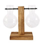 Glass Bulb Vase on Wooden Stand for Desk Decor and Office Display