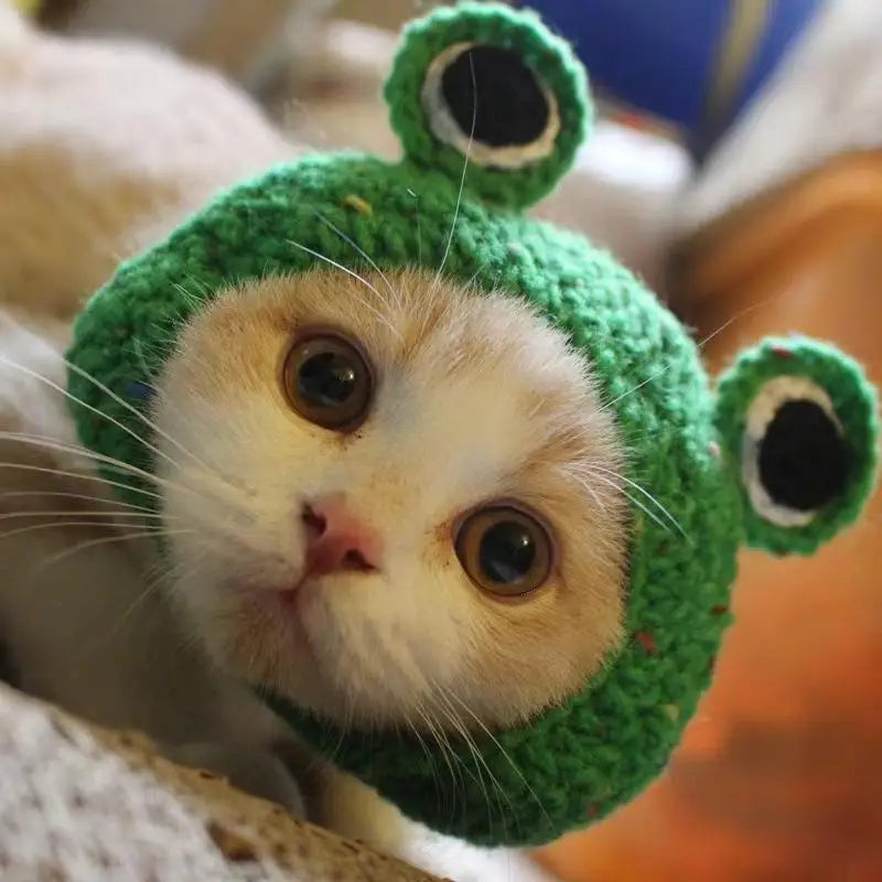 Soft Hat Hand-Crocheted with Elastic Fit for Cats Photo Prop