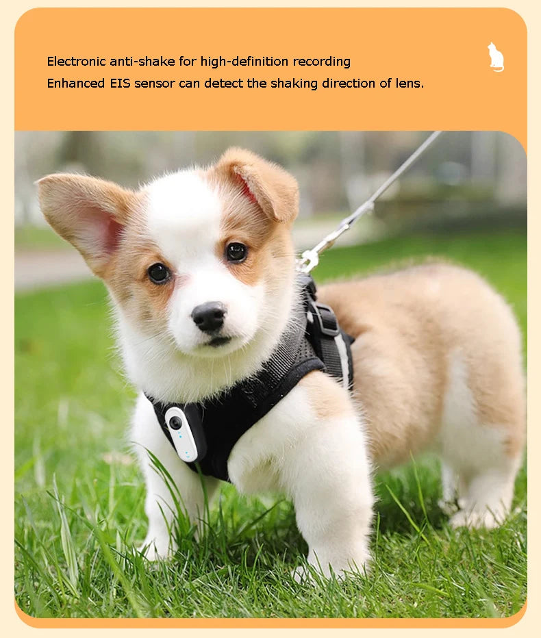 HD Cat Camera Collar with 32GB Card USB Rechargeable Adjustable
