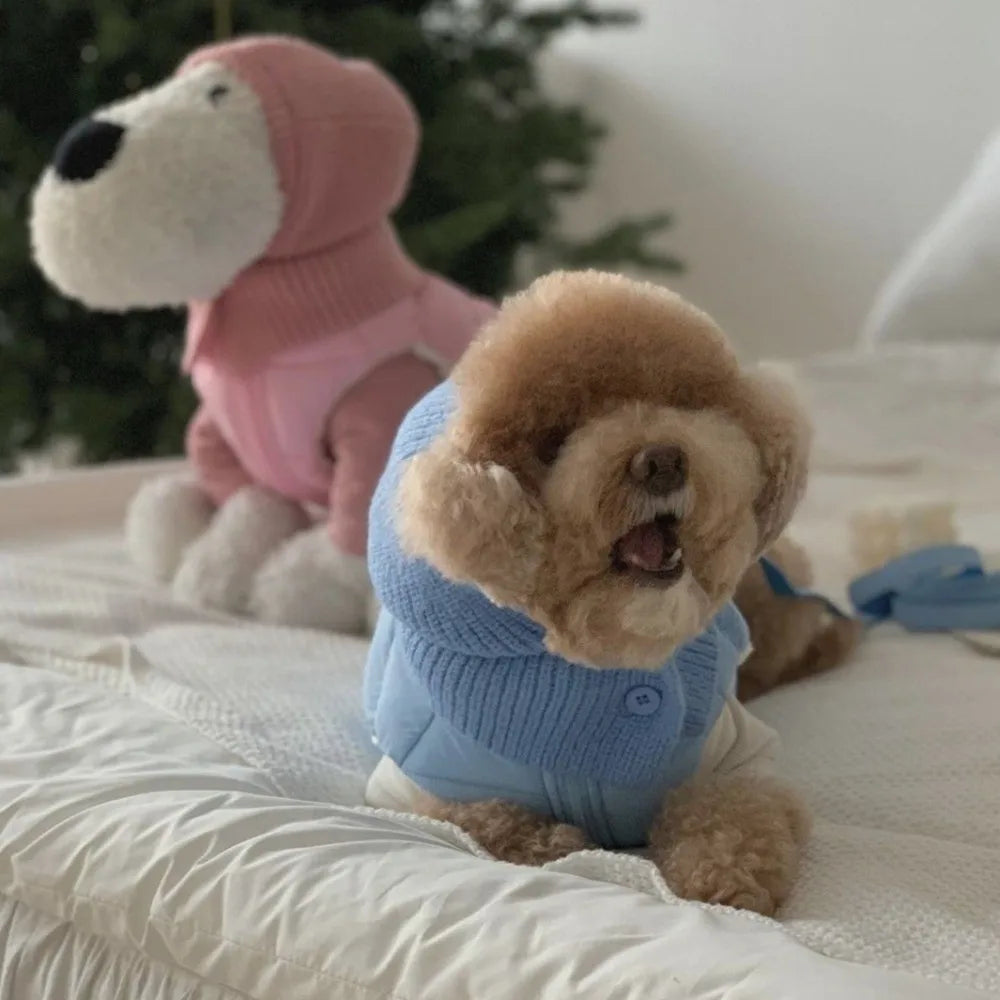 Dog Knitted Hat With Hooded Scarf Wool Cozy Winter Look