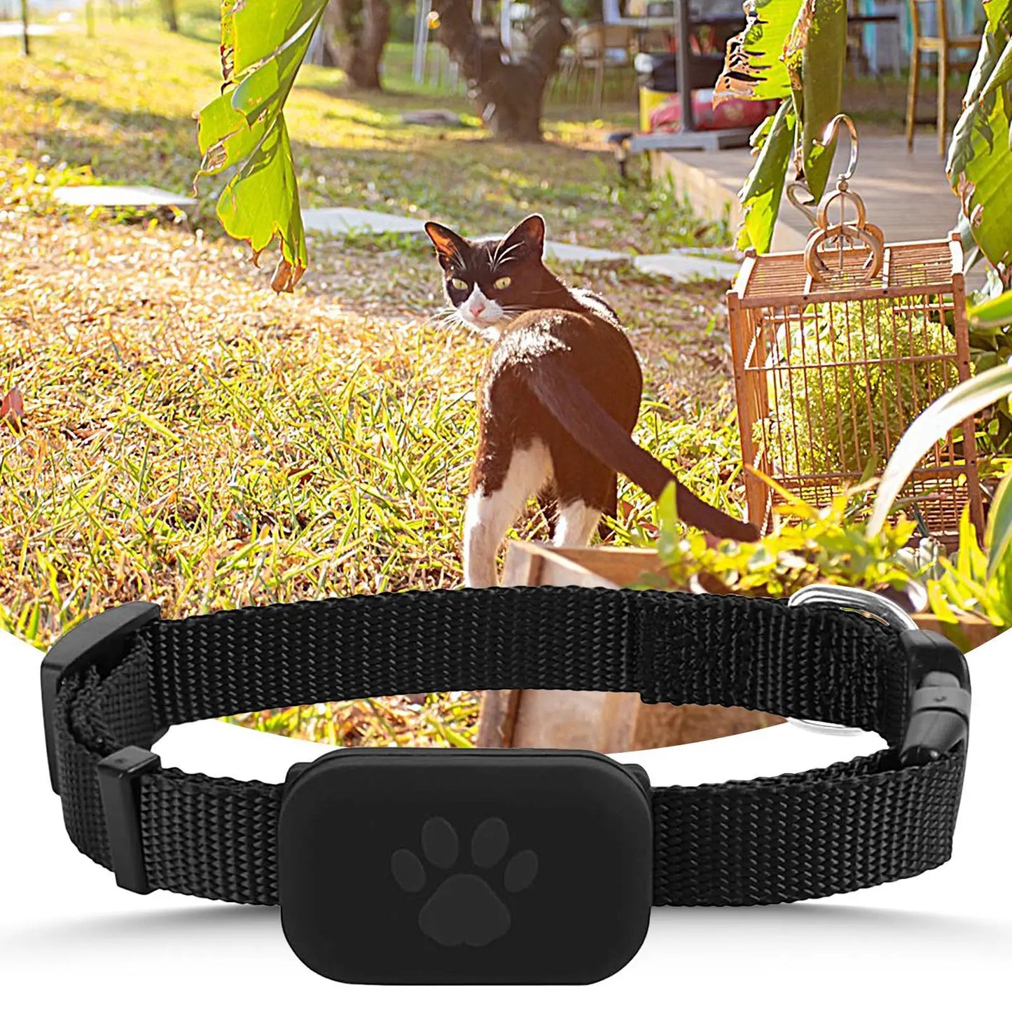 GPS Pet Collar Real Time Indoor and Outdoor Tracking for iOS