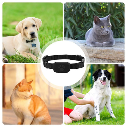 GPS Pet Collar Real Time Indoor and Outdoor Tracking for iOS