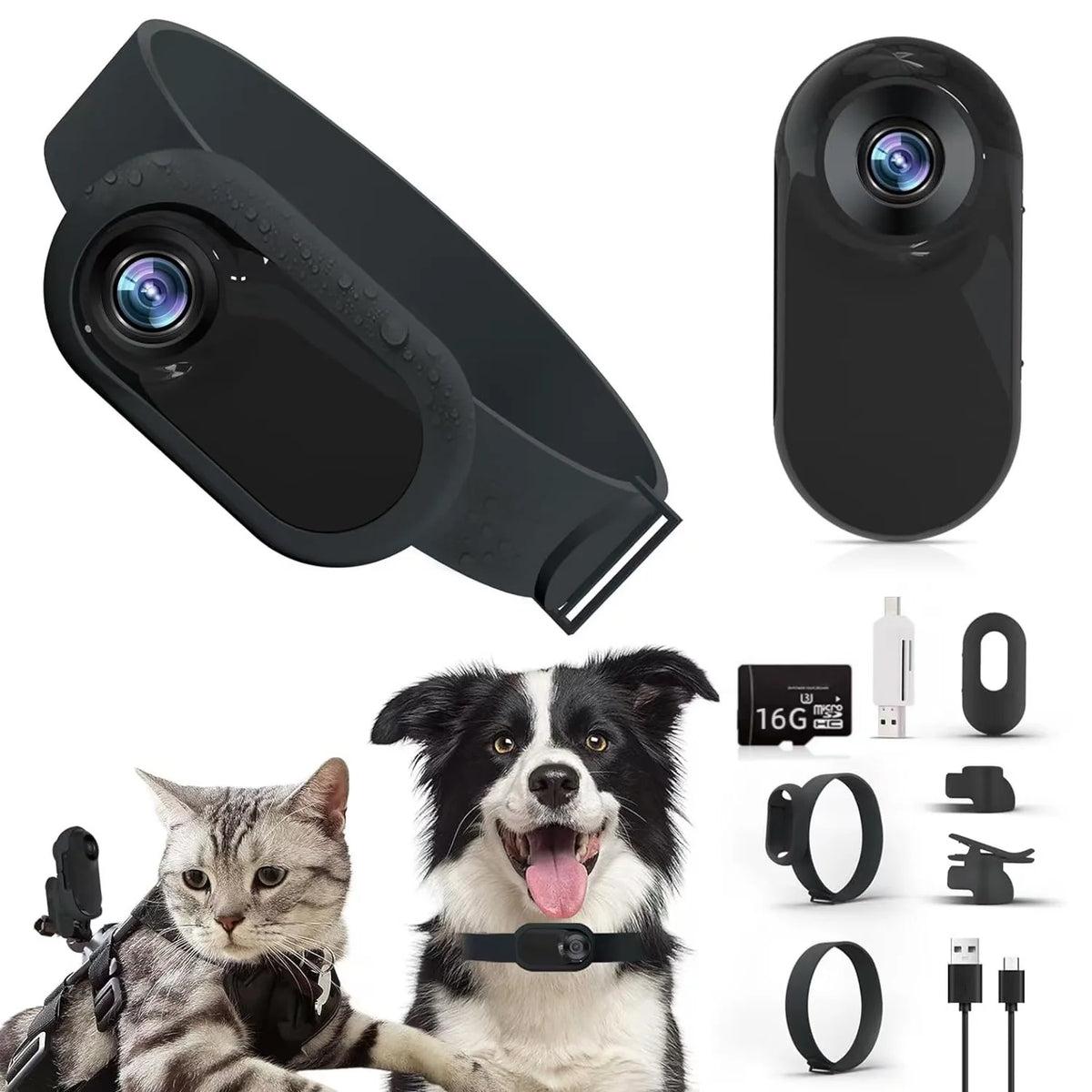 Pet collar camera with separate memory card options