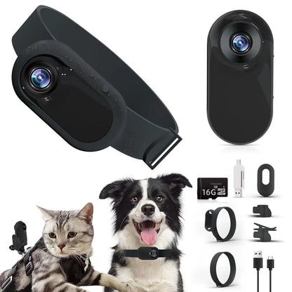 Pet collar camera with separate memory card options