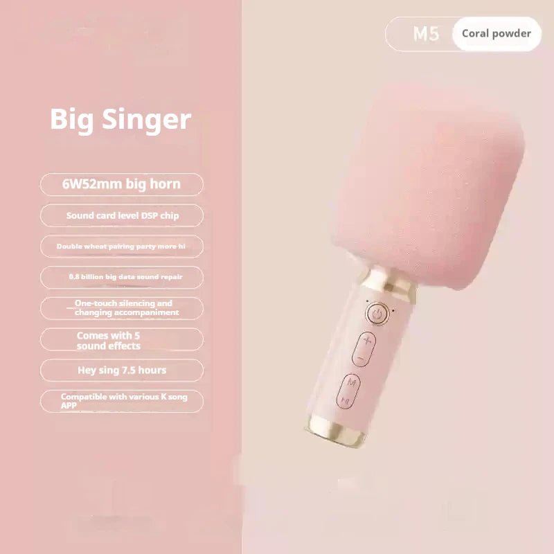 Portable Karaoke Microphone with Built-In Speaker Bluetooth 6W