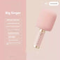 Portable Karaoke Microphone with Built-In Speaker Bluetooth 6W