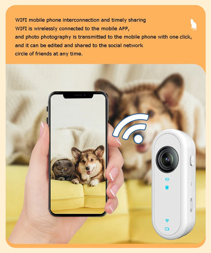 HD Cat Camera Collar with 32GB Card USB Rechargeable Adjustable