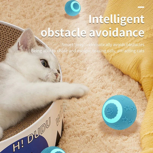 A white kitten reaches out to bat at a glowing blue interactive rolling cat toy on a rug.