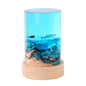 Ambient Fish Tank Desk Lamp with Solid Wood and Resin Cylinder Creates Warm Ambient Glow for Modern Home Office