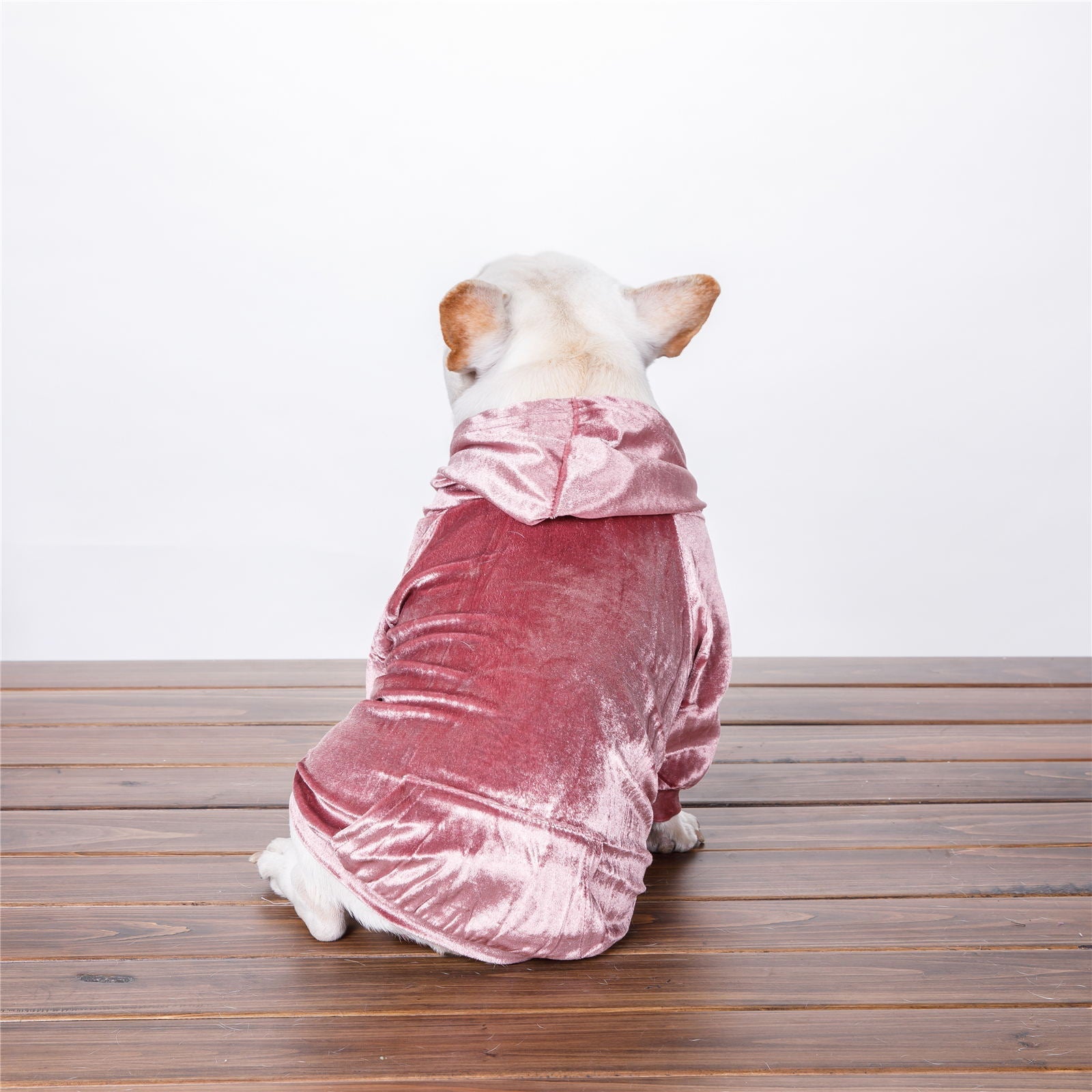 Dog Hoodie Velvet Coat - Merch Gone Viral