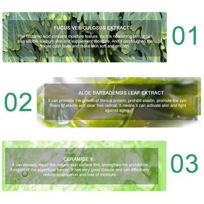 Ingredient highlights for fucus extract, aloe leaf extract and ceramide