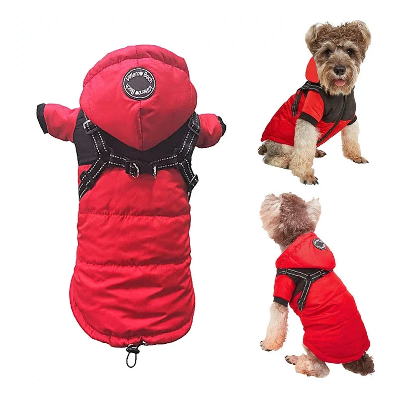 Red and black puffer dog coat with integrated harness and hood, shown alone and worn by a dog