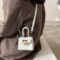 Mini One Shoulder Handbag Stereotype Crossbody Small Square Bag - merch gone viral.