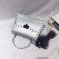 New fashion frosted matte pvc jelly bag - merch gone viral.