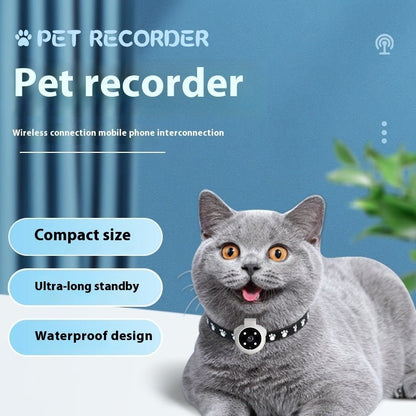 Pet Camera Collar - See the World through your Pets Eyes! Limited Edition 2026 - merch gone viral.