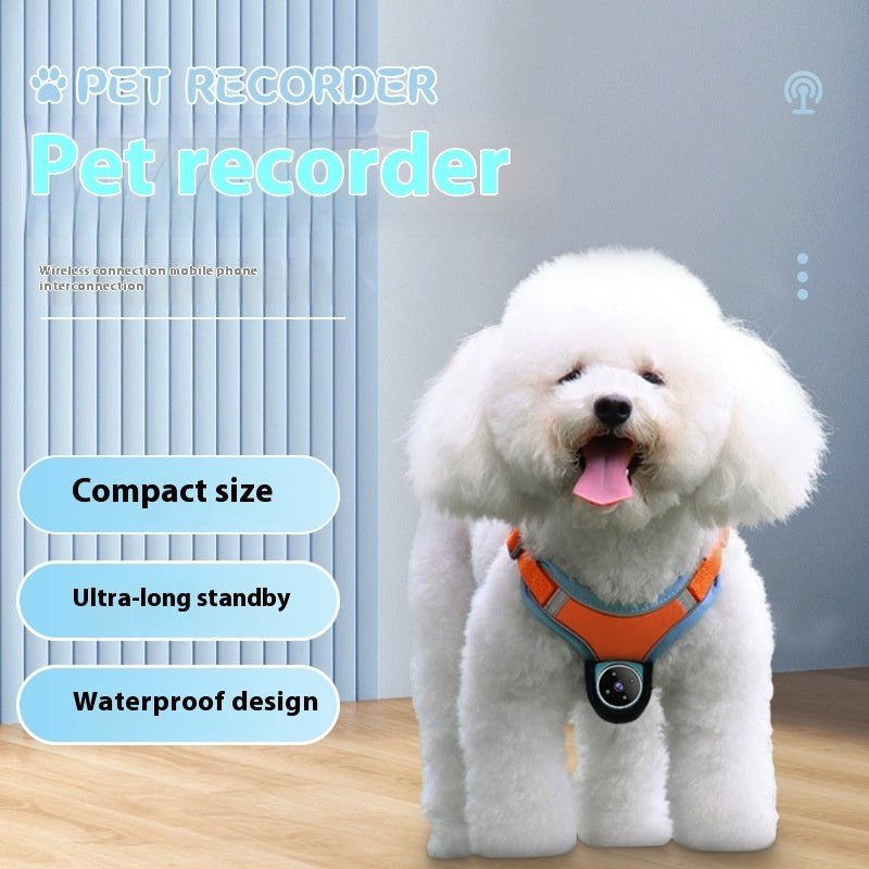 Pet Camera Collar - See the World through your Pets Eyes! Limited Edition 2026 - merch gone viral.