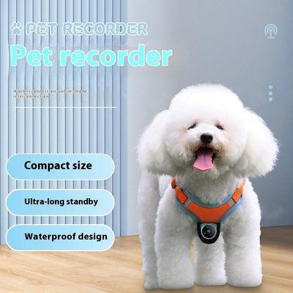 Pet Camera Collar - See the World through your Pets Eyes! Limited Edition 2026 - merch gone viral.