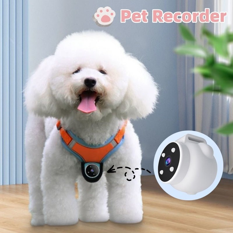 Pet Camera Collar - See the World through your Pets Eyes! Limited Edition 2026 - merch gone viral.