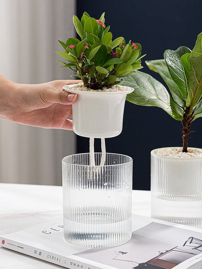 Plastic Self Watering Succulent Pot With Clear Vertical Pattern - Merch Gone Viral