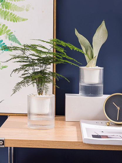 Plastic Self Watering Succulent Pot With Clear Vertical Pattern - Merch Gone Viral