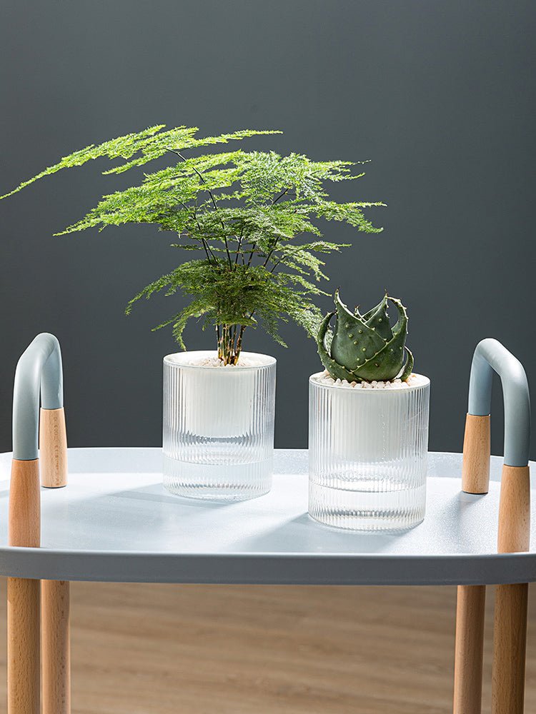 Plastic Self Watering Succulent Pot With Clear Vertical Pattern - Merch Gone Viral