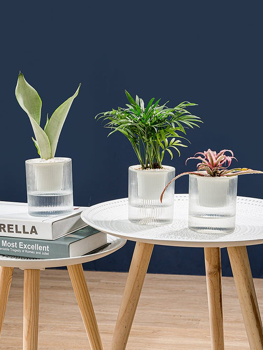 Plastic Self Watering Succulent Pot With Clear Vertical Pattern - Merch Gone Viral