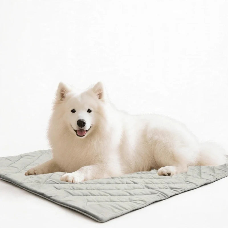A fluffy white dog lying on a light grey quilted pet mat against a plain white background.
