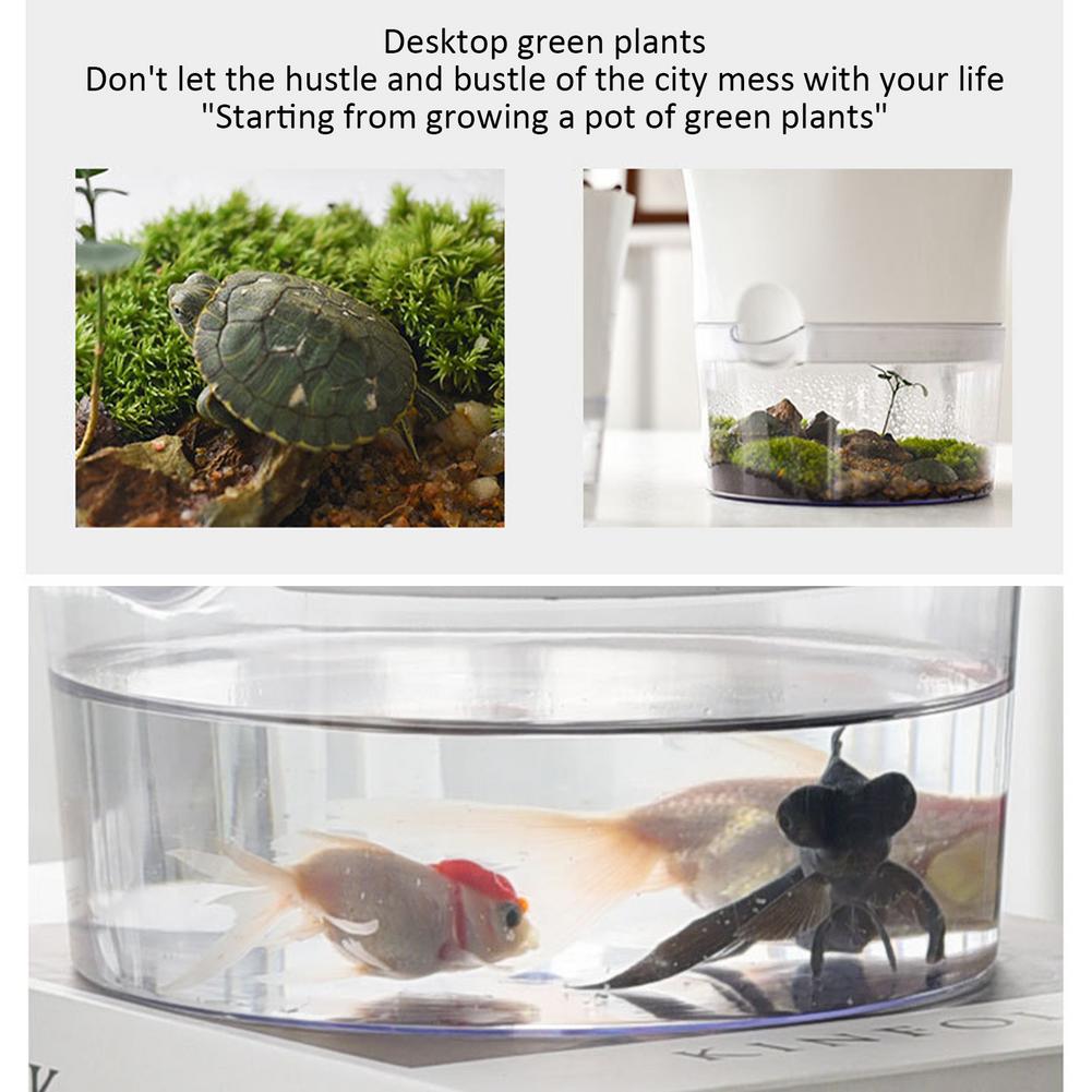 Self-Watering Hydroponic Flower Pot For Indoor - Merch Gone Viral