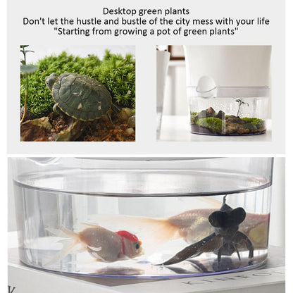 Self-Watering Hydroponic Flower Pot For Indoor - Merch Gone Viral